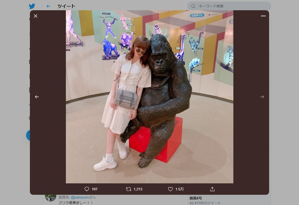 ツイッターに投稿された「ゴリラデート」写真