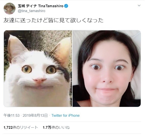 玉城ティナ、ネットで話題の「猫写真」を完コピ　「もう分からない！！」
