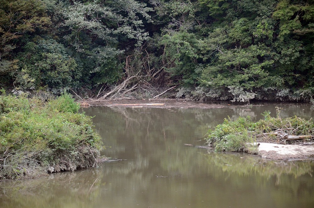 笹川湖は台風の後、湖面が濁り折れた木の枝などが堆積。土砂が崩れたような形跡も見られる