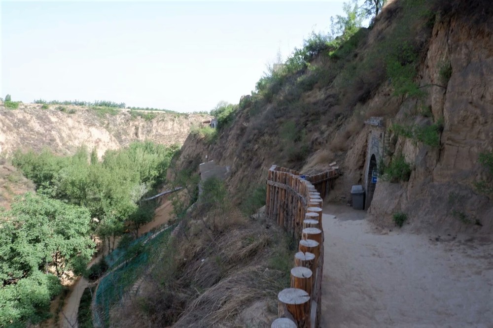 「ヤオトン」と呼ばれる黄土高原独特の洞穴式住居。周りに結構緑も増えてきた（山西省介休市）