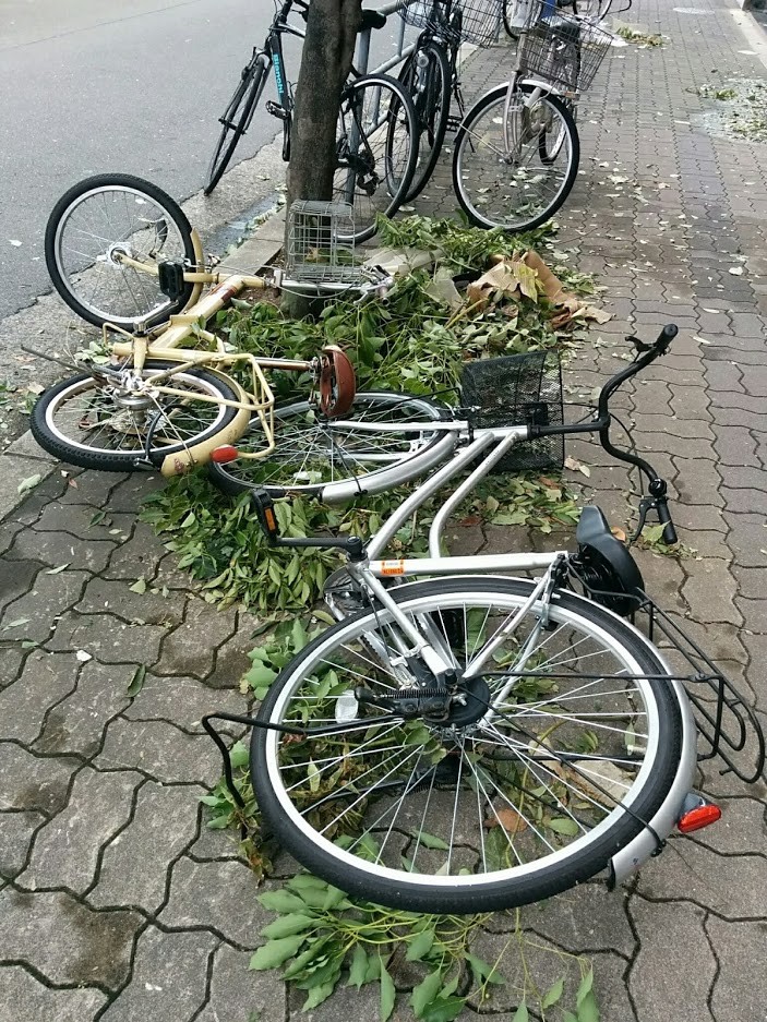 台風でも「バイト来い！」→断ったら処分対象？　弁護士に見解を聞く