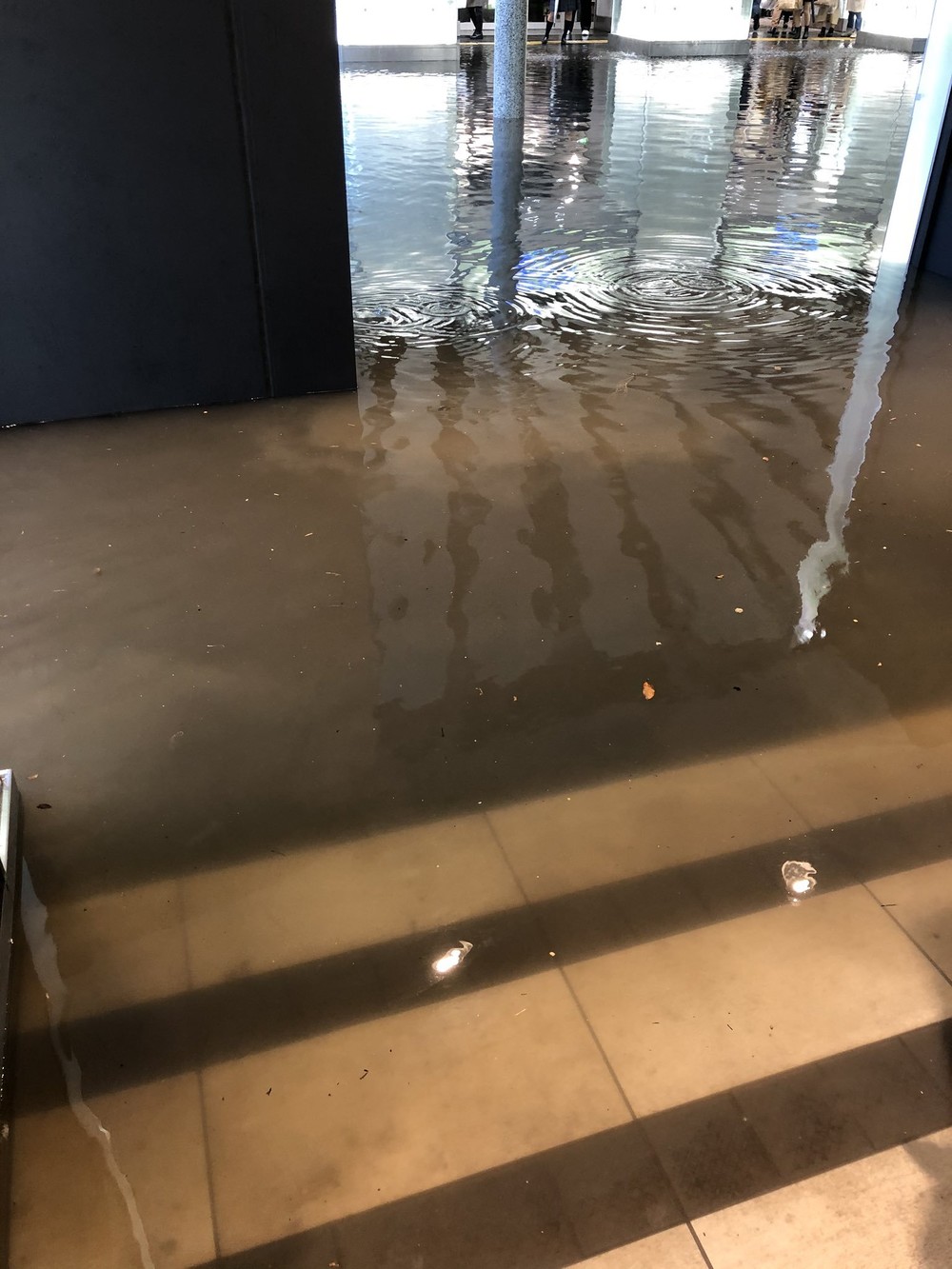 通離 影道@別名は黒井（@Kagemit17）さん提供