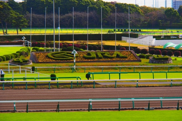 中山競馬場