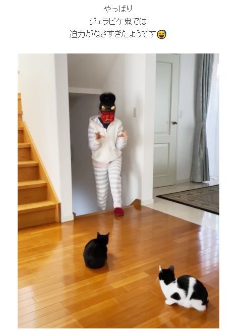 藤あや子と猫の「節分」が微笑ましい　鬼に扮して脅かそうとするが...