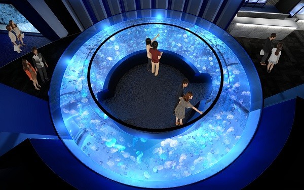 「神秘的」「きっと癒される...」　クラゲ1500匹を「360度パノラマ」、京都水族館の新展示に反響