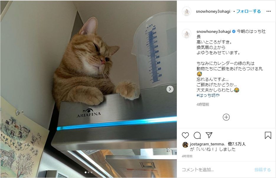 あれ、猫にご飯あげたっけ...？→石田ゆり子、忘れないための工夫明かす