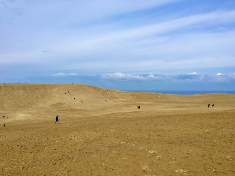 毎日新聞、記事削除し謝罪　鳥取・島根「観光人気」取り上げるも「旅行勧めるように取られかねない」