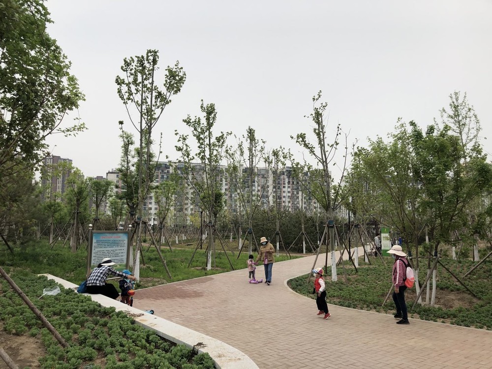 中国が重苦しく見守る「東京五輪延期」　コロナ危機より大きな経済損失の可能性