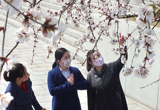 北朝鮮「感染者ゼロ」強調するが...　国内では発生確認？米政府系ラジオ報道