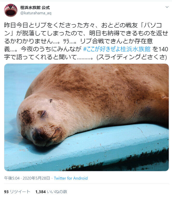 「＃ここが好きぜよ桂浜水族館」で魅力募集　公式キャラ「おとどちゃん」ツイートに反響が