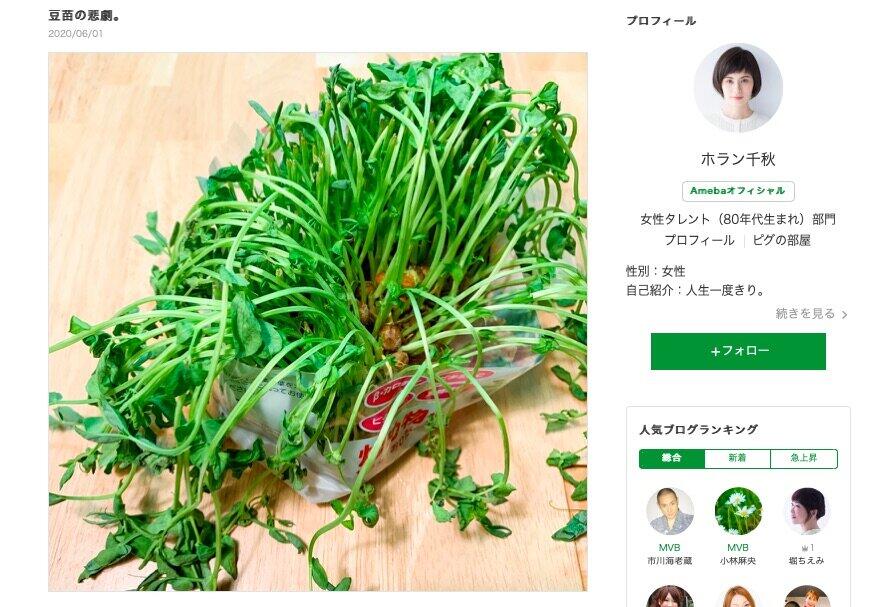 ホラン千秋、豆苗の生命力に感動　「急いで水をあげて、一晩待つと...」