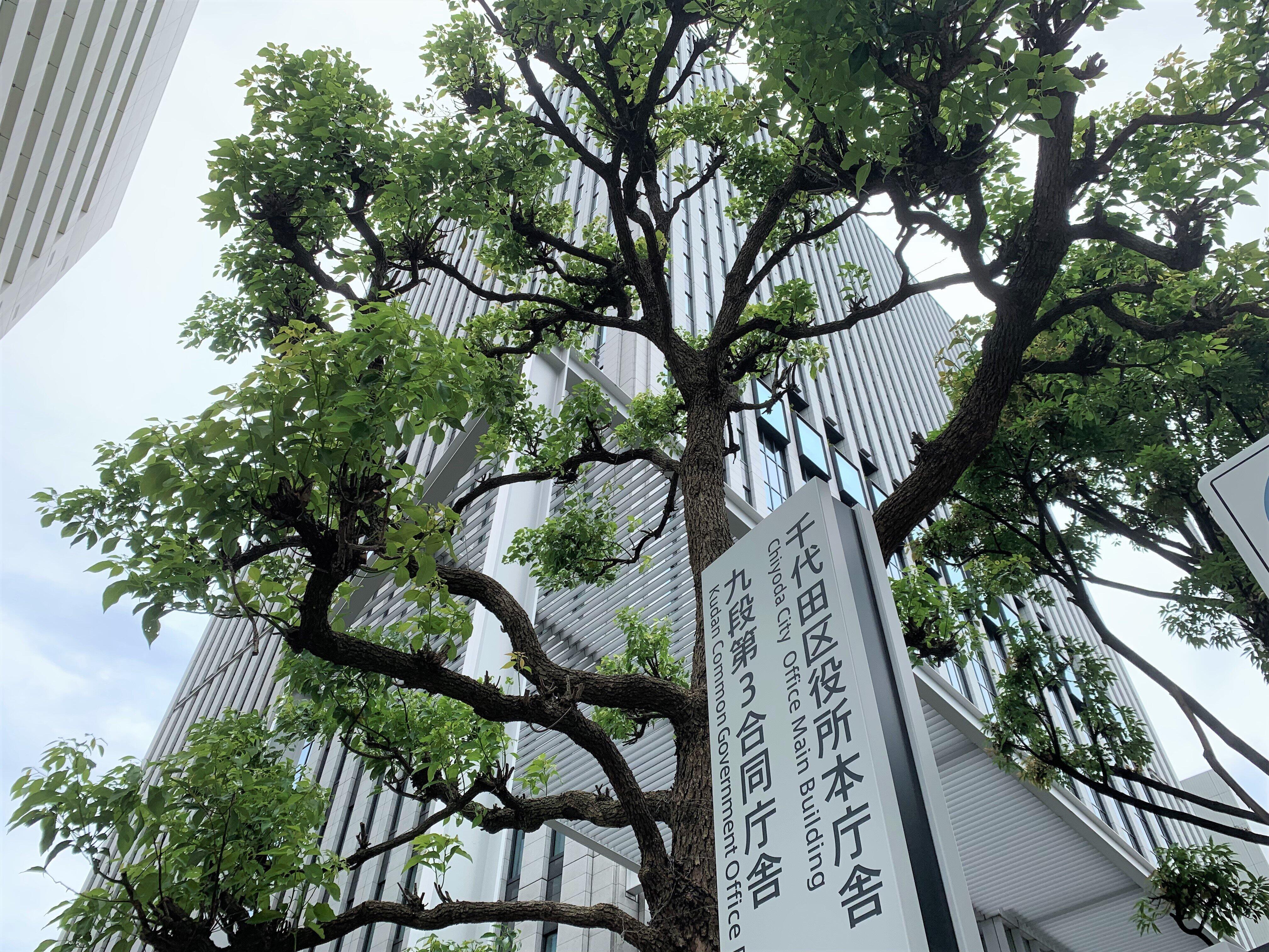 千代田区役所が入る庁舎（7月27日）
