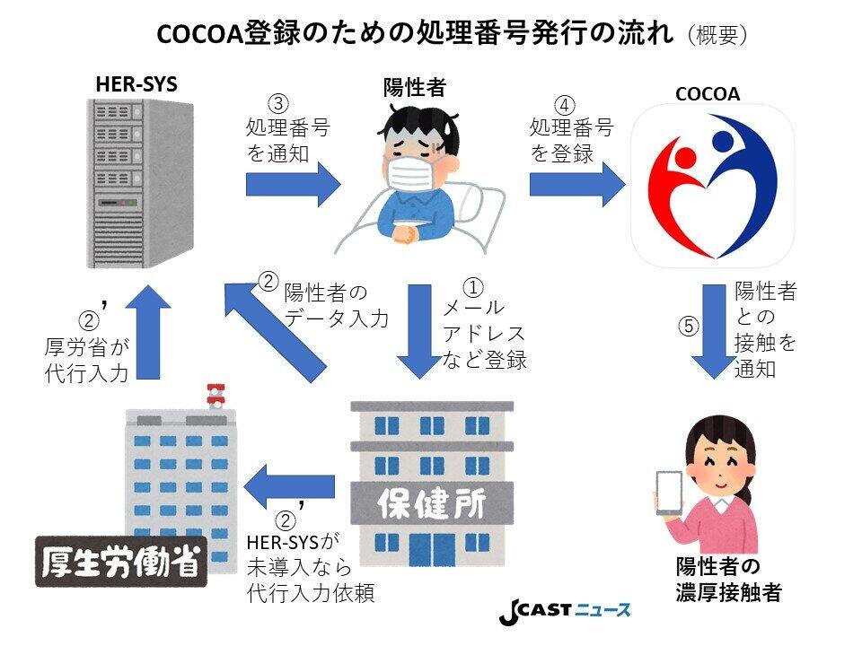 COCOAに「陽性」と登録するための「処理番号」発行の流れ