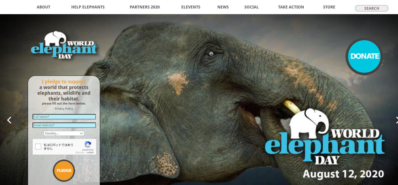 日本が「ぱおん」に包まれた　「＃世界ゾウの日」動物園、まる子などがツイート