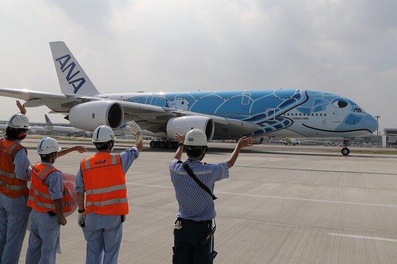 ANA「空飛ぶウミガメ」、5か月ぶり乗客乗せる　「倍率150倍」遊覧飛行でハワイ気分