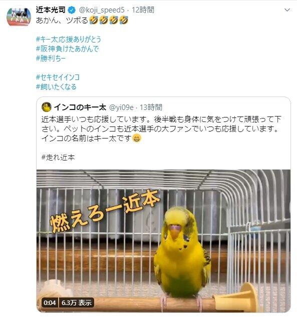 阪神 近本光司 あかん ツボる インコが かっとばせー と応援歌 J Cast ニュース