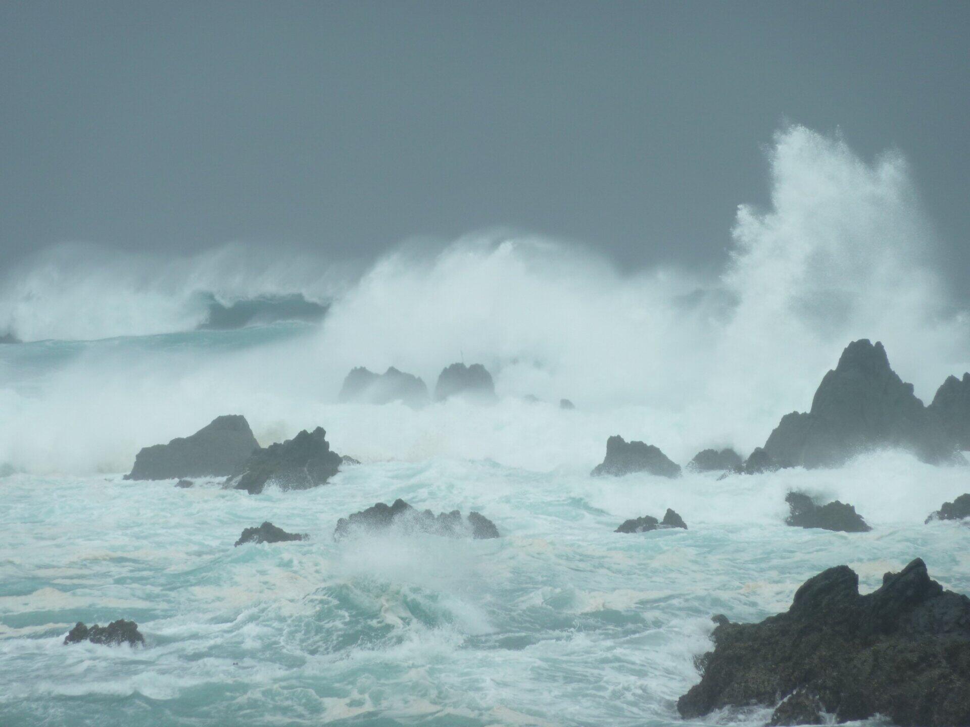 「避難所」のコロナ対策、どうすれば？　台風10号・九州各地で「定員オーバー」、断られる例も