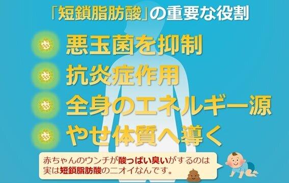 短鎖脂肪酸は、ビフィズス菌などの善玉菌から作られる