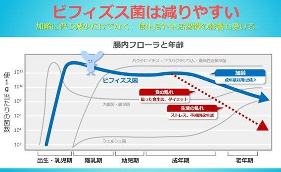 ビフィズス菌は赤ちゃんの時に多くても、加齢につれて減っていく