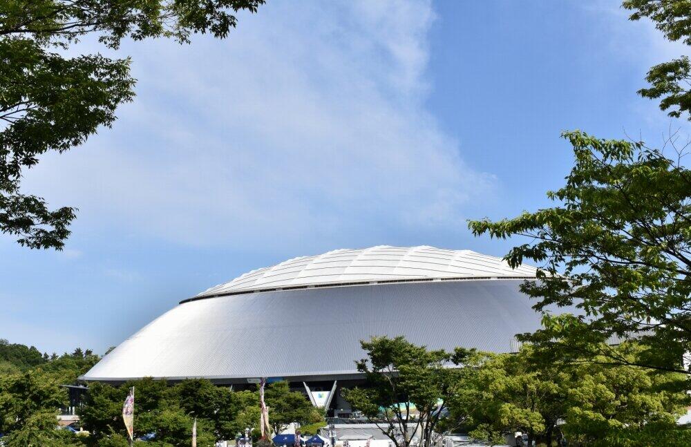 山田哲人、大野雄大「残留」説で...FAの「主役」は西武・増田達至に？　巨人、阪神も参戦観測