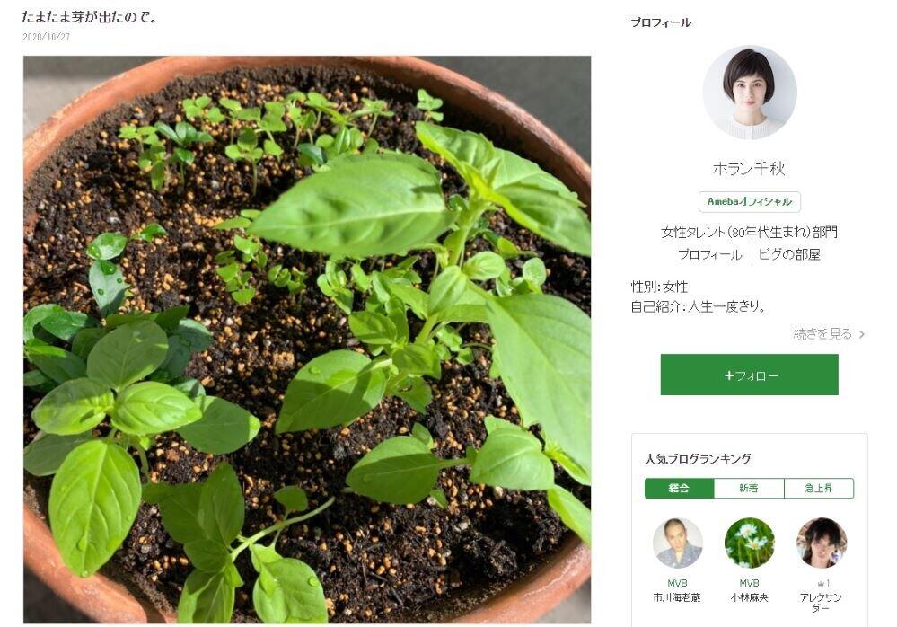 バジル発芽を報告