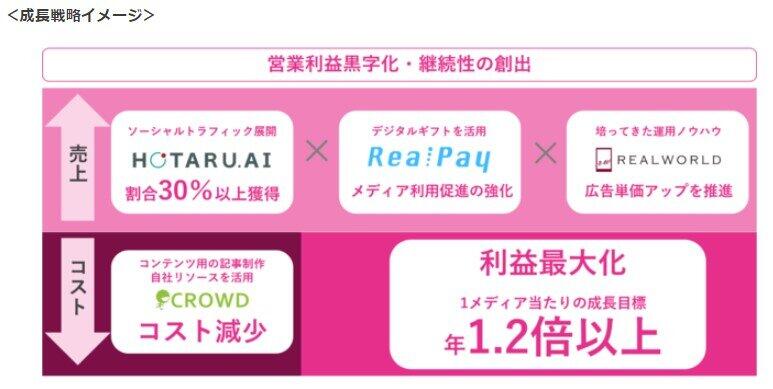 成長戦略イメージ