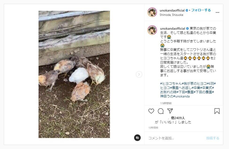 神田うの、ヒヨコとお別れ「卒業式」　自宅での誕生から3週間...娘は涙