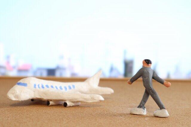 バイオ技術でCO2削減　ANAが取り組む「持続可能な航空燃料」の可能性