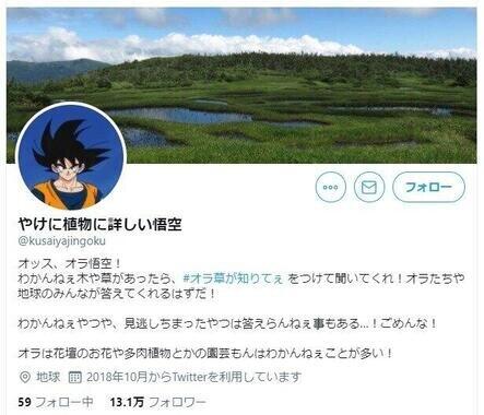 「やけに植物に詳しい悟空」のアカウント （現在、プロフィール画像は削除されている）