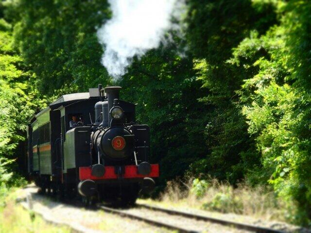 博物館明治村の9号蒸気機関車。鬼滅の刃の舞台の大正時代初期はまだこの機関車と同じ連結器を装備していた」