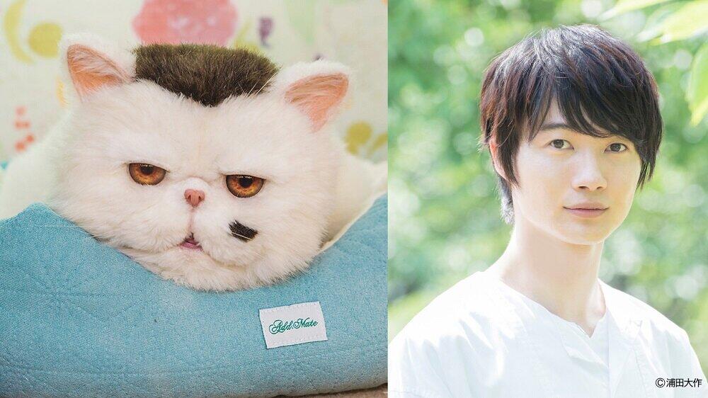 主人公・神田（草刈正雄）の愛猫・ふくまるの声は神木隆之介さん（C）「おじさまと猫」製作委員会