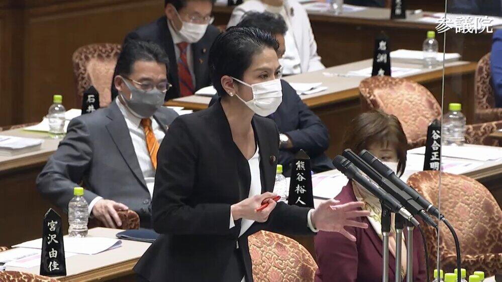 参院予算委で質問に立つ立憲民主党の蓮舫代表代行（写真は参院インターネット中継から）