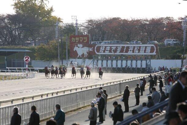 今度は男性調教師によるセクハラ疑惑が（写真：山根英一/アフロ）