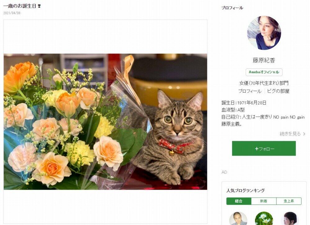 藤原紀香さんの愛猫「まー之助」