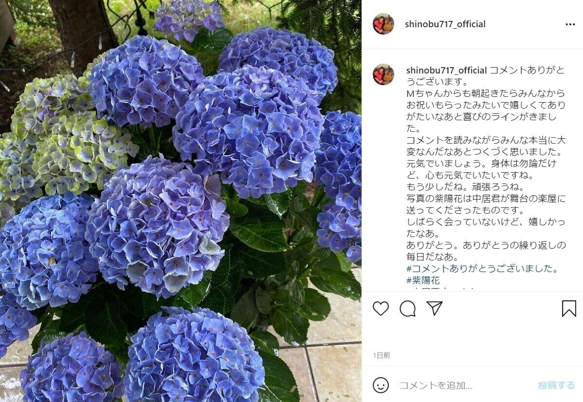 中居さんから贈られた紫陽花（大竹さんのインスタグラム＠shinobu717_officialより）
