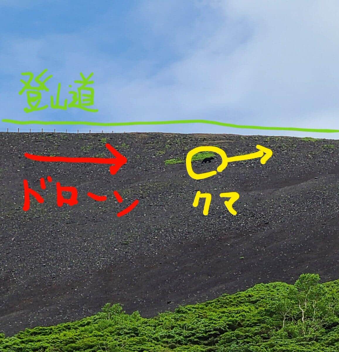 クマは、このような形でドローンに追いやられ…（写真は、ツイッター投稿者提供）