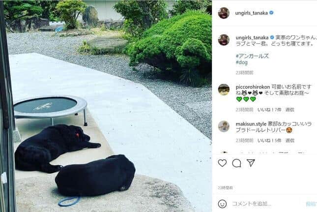 田中さんのインスタグラムより