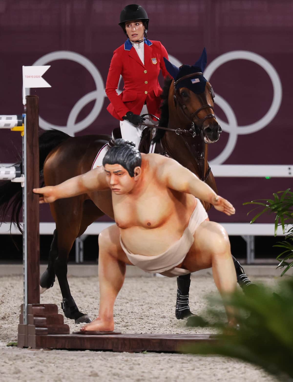 話題となった力士の障害物(写真：picture alliance/アフロ)