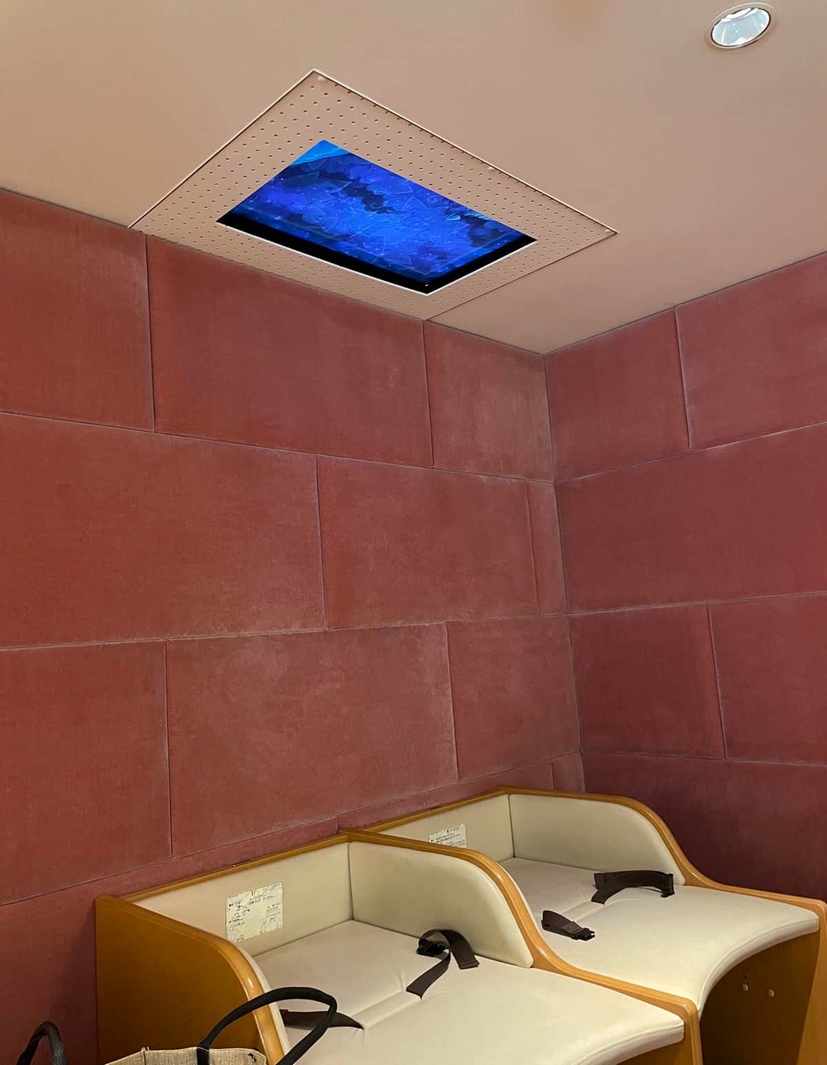 天井にテレビがある(画像：@sayurice_ さん提供)