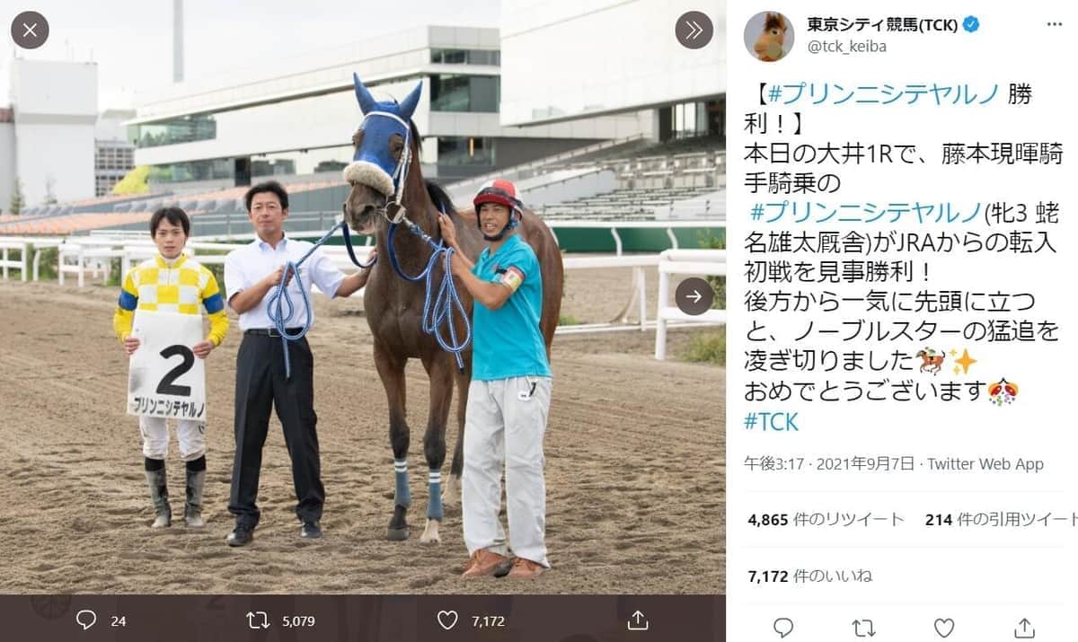 プリンニシテヤルノ初勝利を伝える東京シティ競馬のツイート