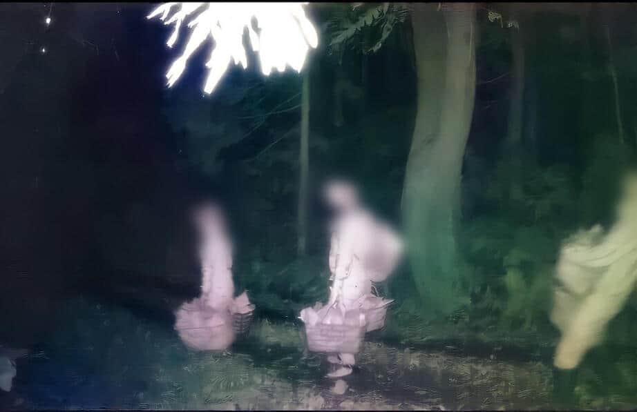 総額50万円のシャインマスカット盗難　「悔しくて怒りが止まらない」被害農家が情報求める