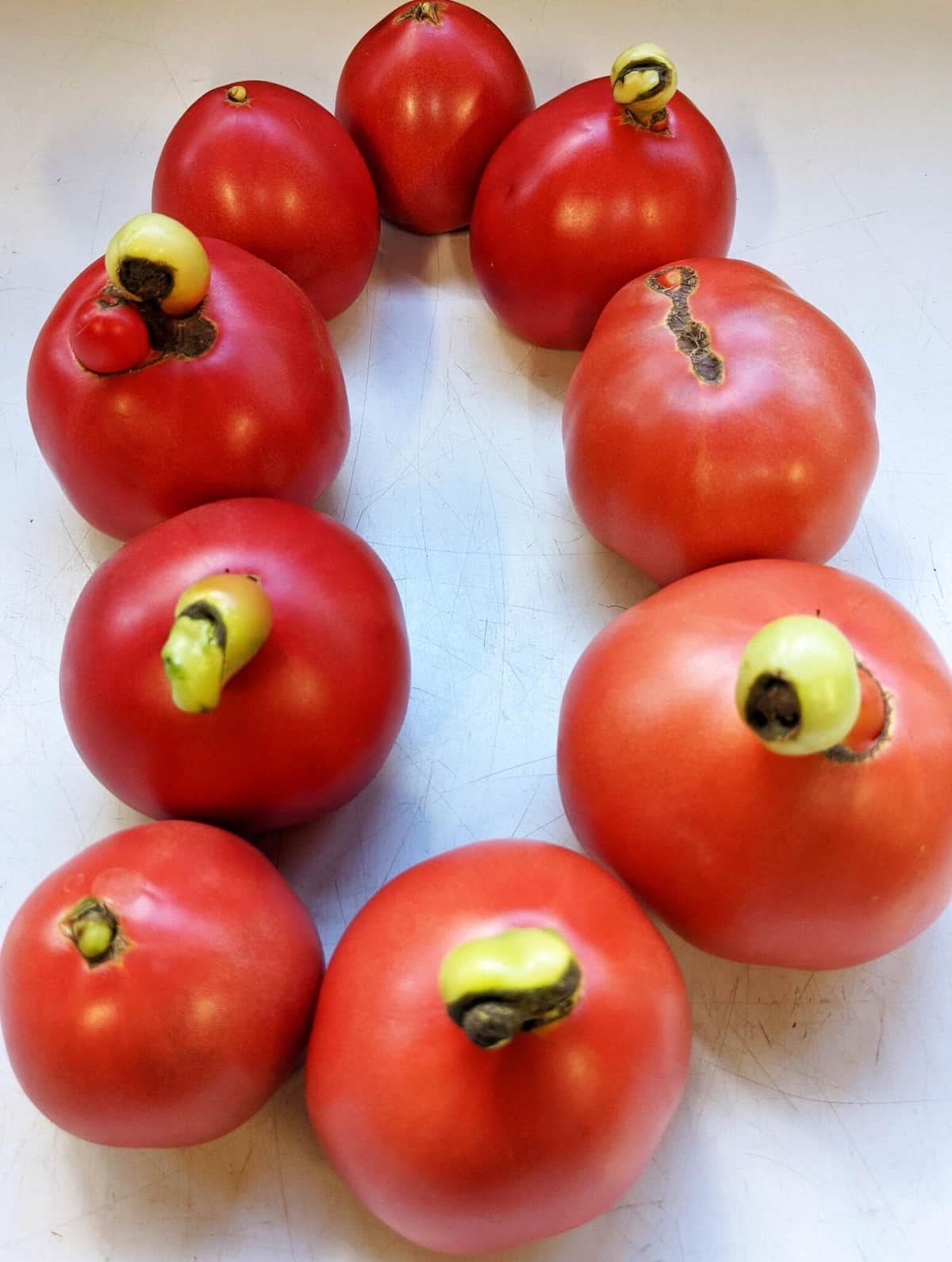 環状に並べるとまるで・・・