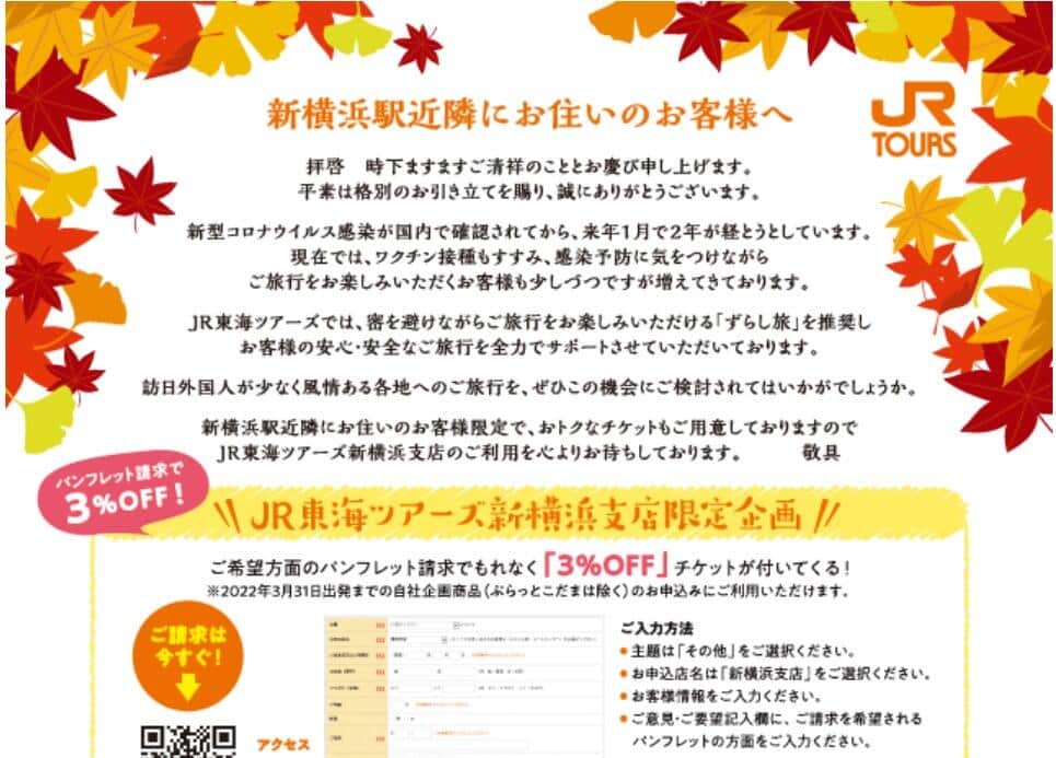 実際のチラシ（現在は削除済み）