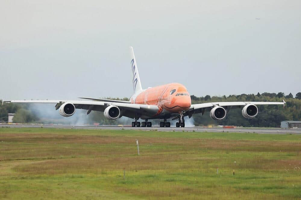 ANA「空飛ぶウミガメ」最後の1機が成田着　コロナ禍で運休の「ハワイへの足」...稼働へ課題山積