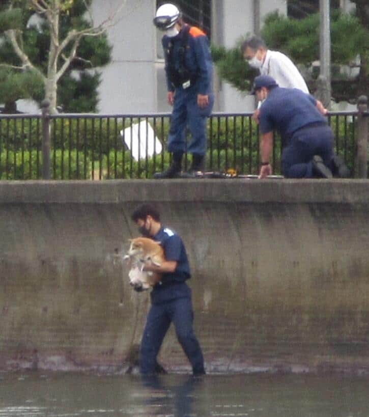 海上保安庁公式ツイッター（@JCG_koho）の2021年10月14日の投稿より