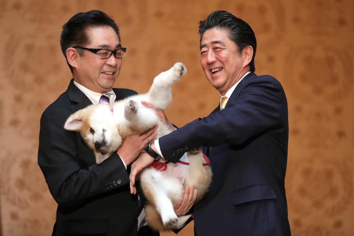 ザギトワ選手へ秋田犬「マサル」を贈呈 式典には安倍首相（当時）も出席（写真：TASS/アフロ）