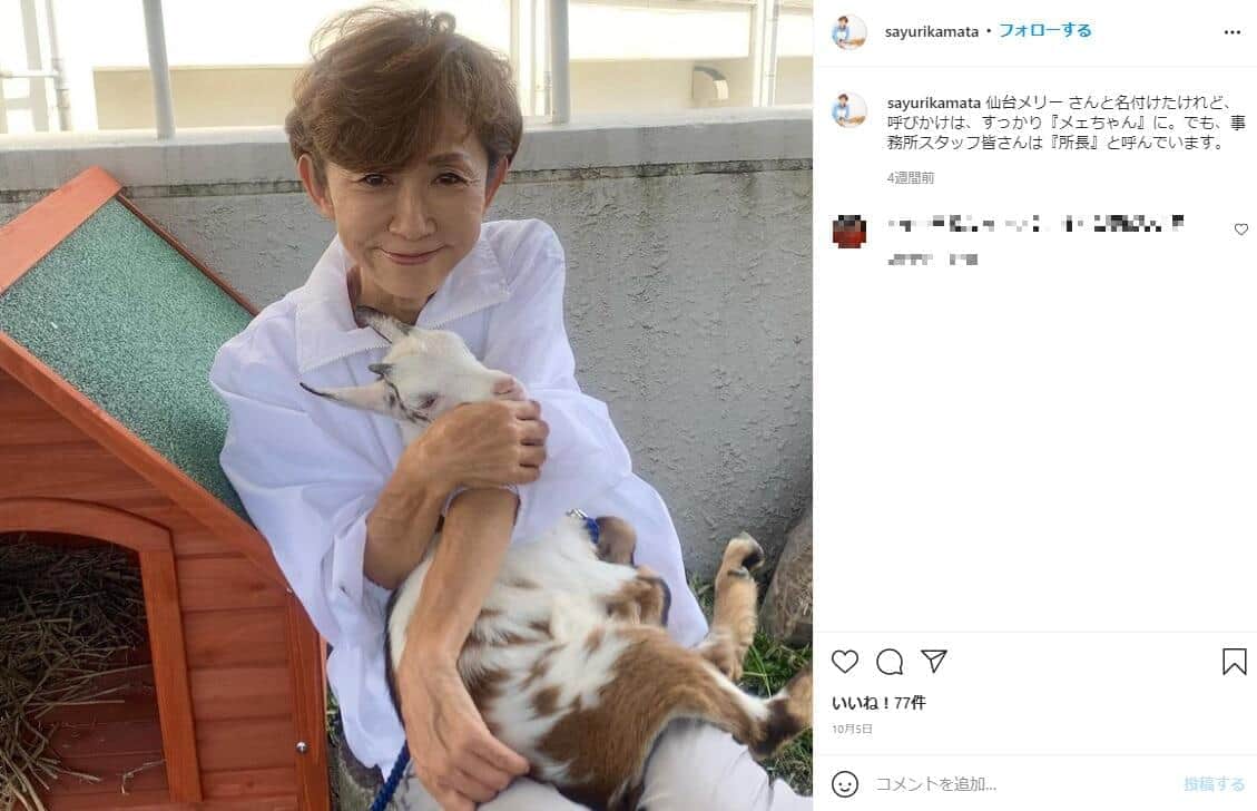 立憲・鎌田さゆり氏、ヤギ「政治利用」の意図「全くない」　当選直後の炎上騒動、本人明かす全事情