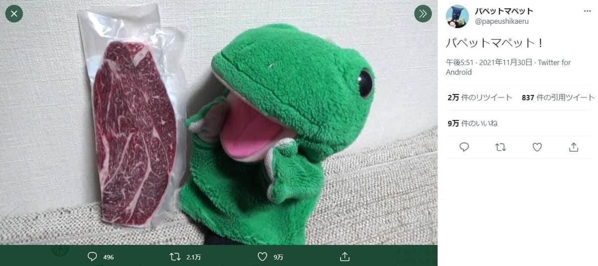 カエルくんと、変わり果てた姿のうしくん。11月30日のパペットマペットのツイッター（＠papeushikaeru）より