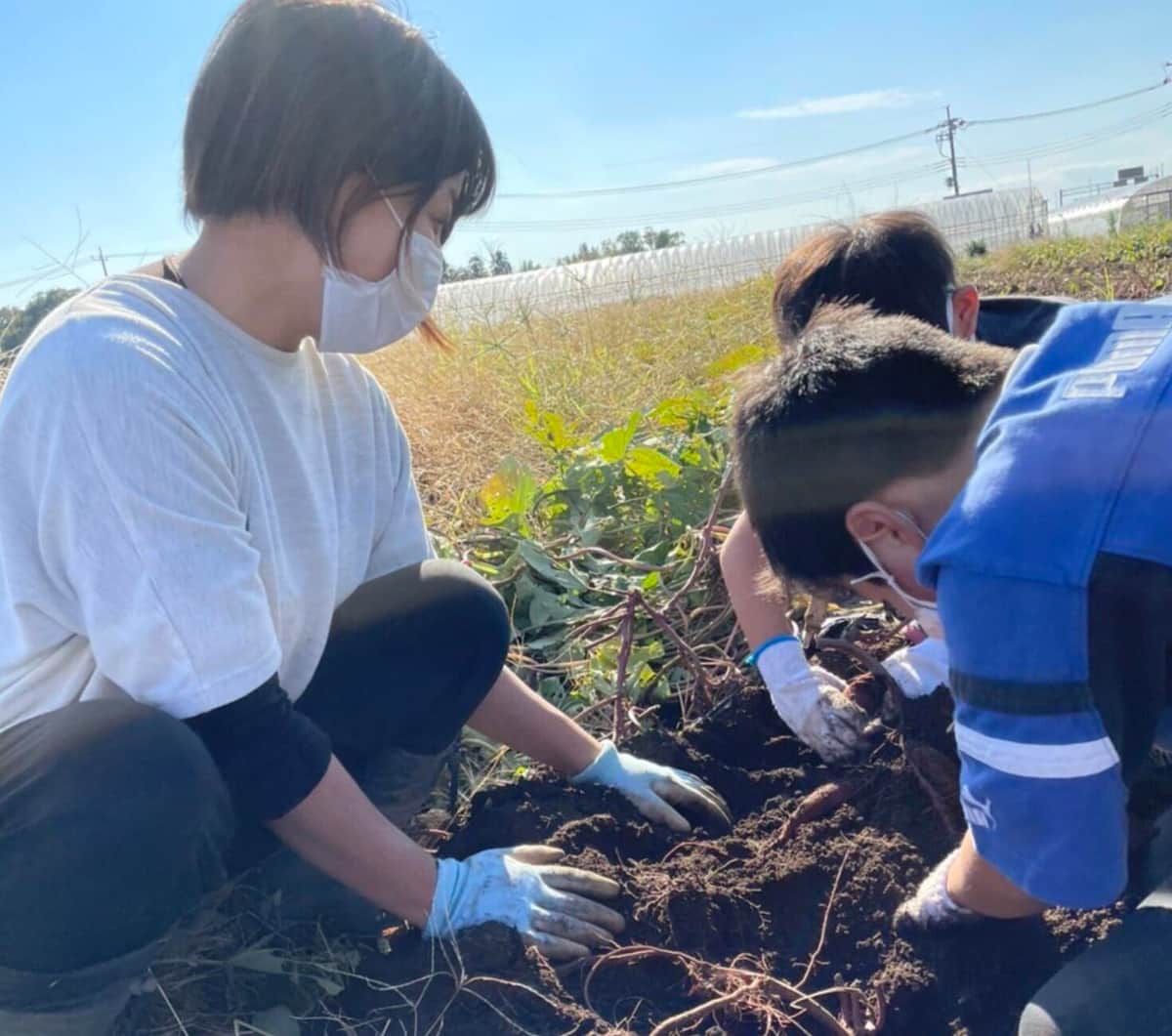 農家の「顔つき大根」が大反響　売れ残り減らすための「苦肉の策」...切実投稿に17万いいね