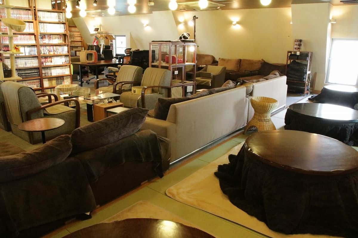 猫の居る休憩所299